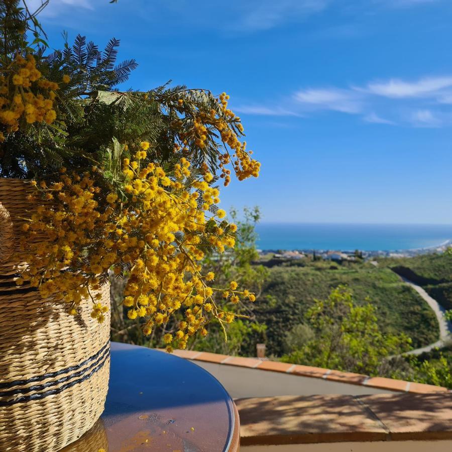 Casa Antonia Villa Algarrobo Eksteriør billede