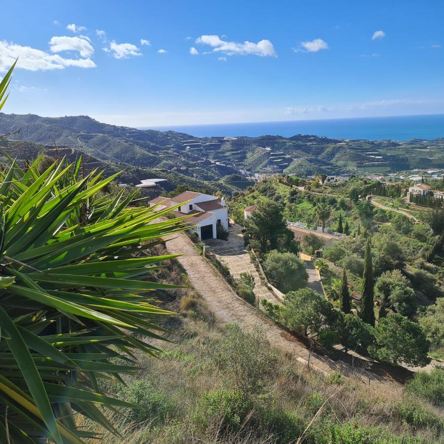 Casa Antonia Villa Algarrobo Eksteriør billede