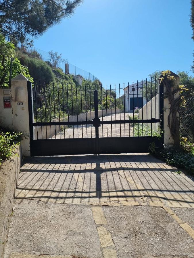 Casa Antonia Villa Algarrobo Eksteriør billede